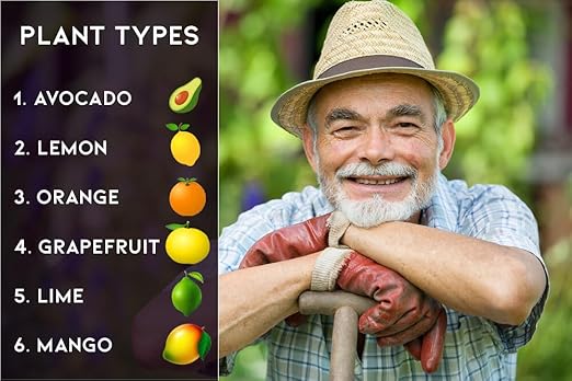 6-4-6 Citrus and Avocado Fertilizer - Unlock The Full Potential of Your Citrus and Avocado Trees - 20 QUARTS