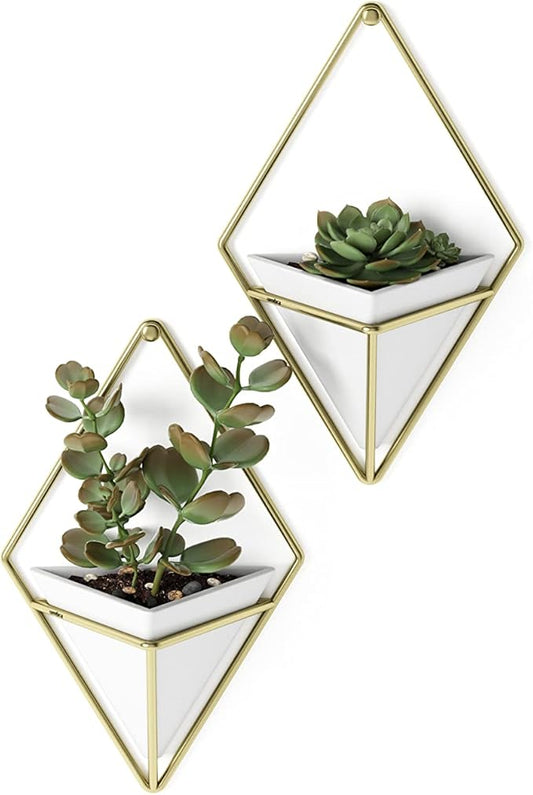 Umbra Trigg Hanging Planter Vase Wall Decor, Set of 2 Pots Containers for Succulents, Cactus, Faux Plants, and More, Small, White/Brass