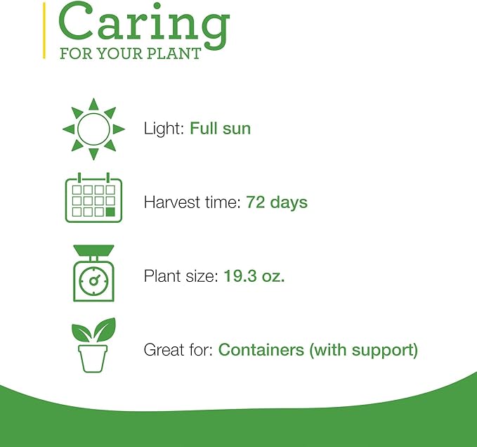 Bonnie Plants Jalapeno Hot Pepper Live Vegetable Plants - 4 Pack, Most Popular Chile Pepper, Non-GMO, 24 - 48 Inch Plants, 3 Inch Pepper Size