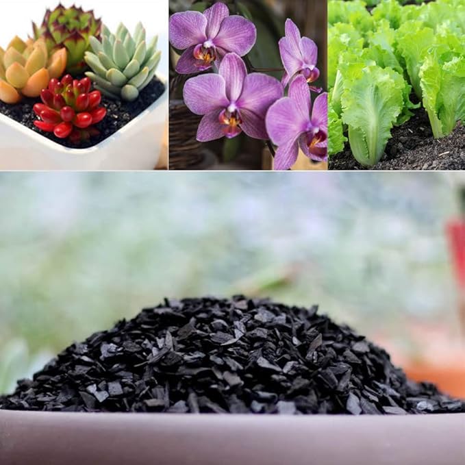 Horticultural Charcoal for Plants 1 qt, All Natural Hardwood Charcoal, Activated Charcoal for Soil Amendment, Orchids, Terrariums, and Gardening