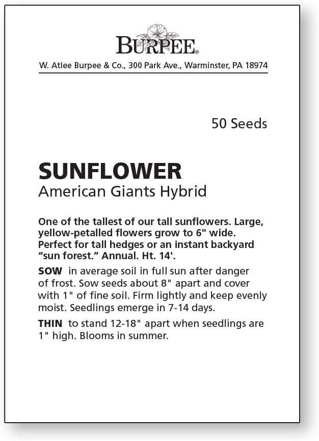 Burpee American Giants Hybrid Sunflower Seeds 50 seeds