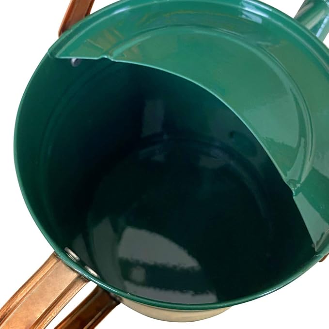 Metal Watering Can for Outdoor and Indoor Plants, Watering Can Decor, 1 Gallon (1 Gallon Green2)