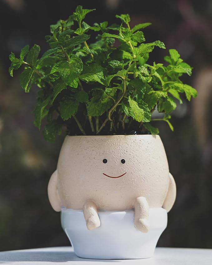 Smily Face Planter Pot Funny Toilet Plant Pots Cute Resin Flower Head Planters Succulent Pots for Indoor Outdoor Plants Unique Bathroom Planter with Drainage Hole (Small)