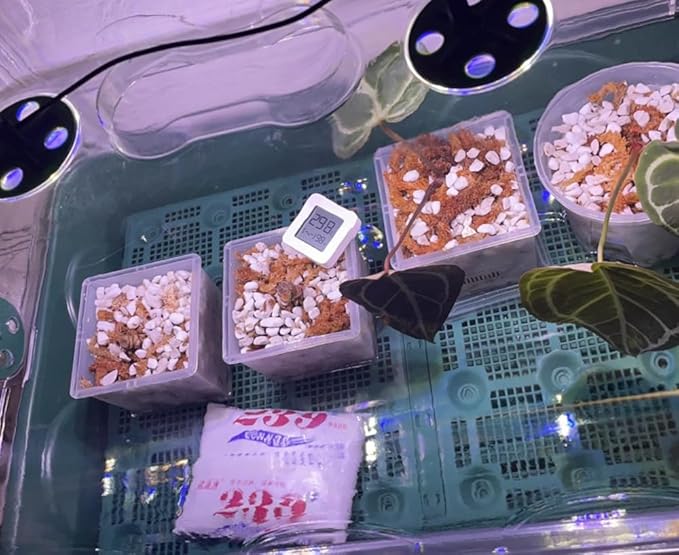 50QT Organic Perlite Horticultural Soil Amendment for Plants and Enhanced Drainage Enhanced