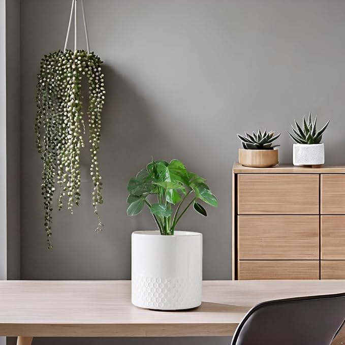 Docrin Ceramic Planters Indoor: 8 Inch Plant Pots with Drainage Holes for Home/Office - White Honeycomb