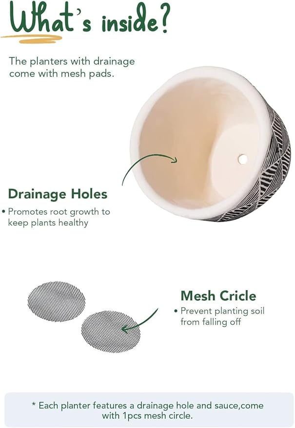 LE TAUCI 5.5 Inch Boho Plant Pots Indoor, Artisanal Cement Pots for Indoor Plants, Succulent Pots with Drainage Holes and Saucers, Planters for Indoor Plants, Set of 2, Black and Cream White