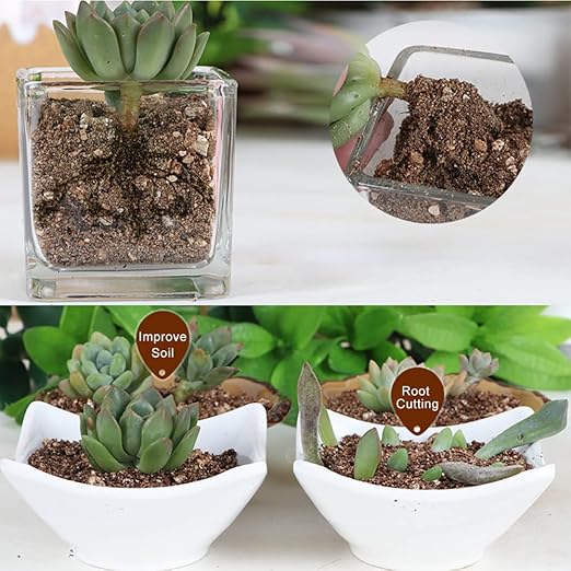 Organic Vermiculite 10 qt by Doter, Increases Water and Nutrient Retention and Aerates The Soil, Perfect for Root Cuttings, Seed Germination, Arranging Flowers, and Bedding for Invertebrates