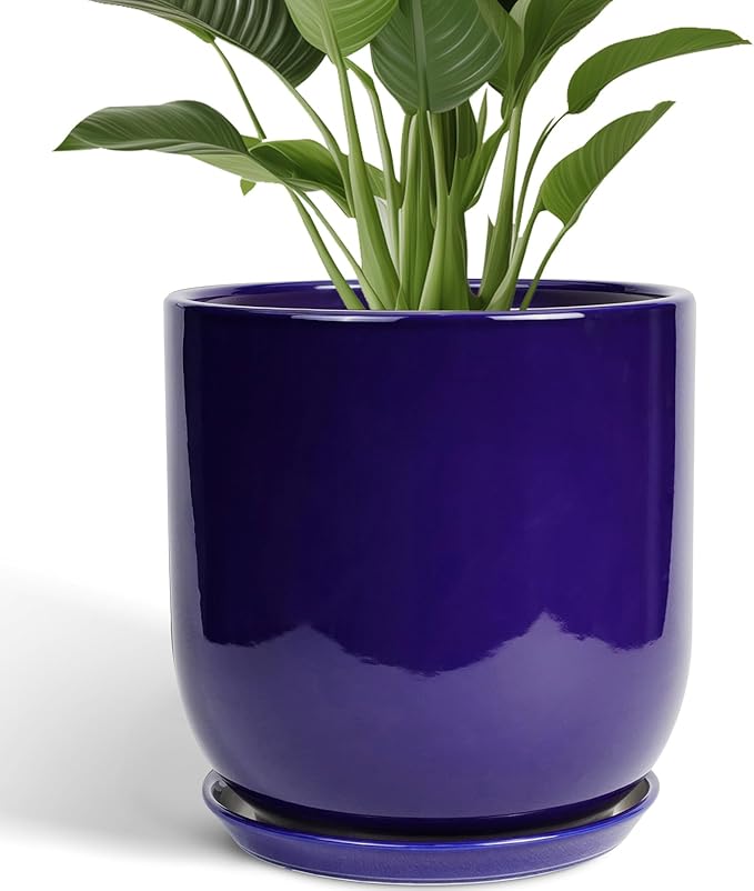 Ceramic Planter - 12 Inch Pots for Plants Ceramic Plant Pot Indoor with Drainage Hole and Saucer Large Planter Flower Pot Outdoor for Home Garden Decor Blue