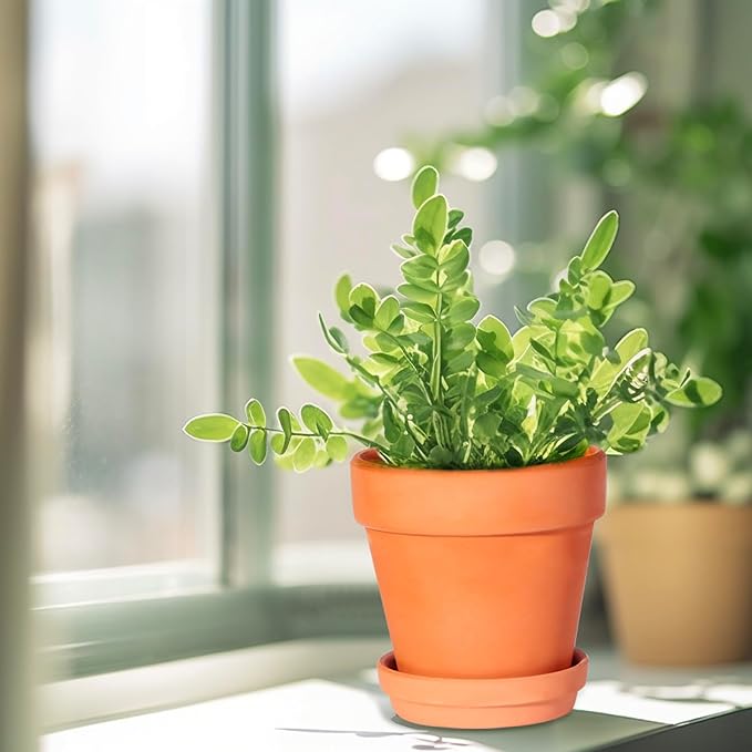 3 Inch Terracotta Pots with Saucer-20 Pack Succulent Cactus Plant Pots with Drainage Hole, Great for Plants Garden Windowsill Indoor & Outdoor Wedding Favors Gifts