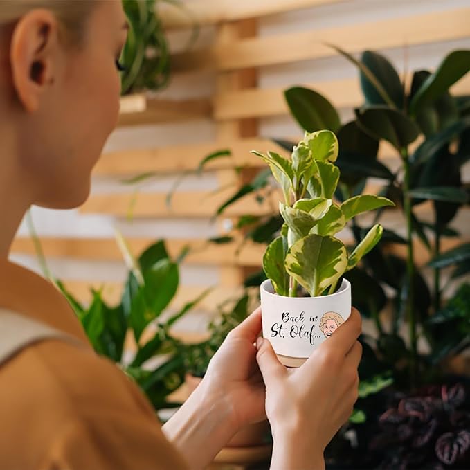 Funny Succulent Pots Set of 4 - Golden Inspired Merchandise Ceramic Mini Plant Pot with Bamboo Tray, Cute Planter for Indoor Decorations, Gifts for Women