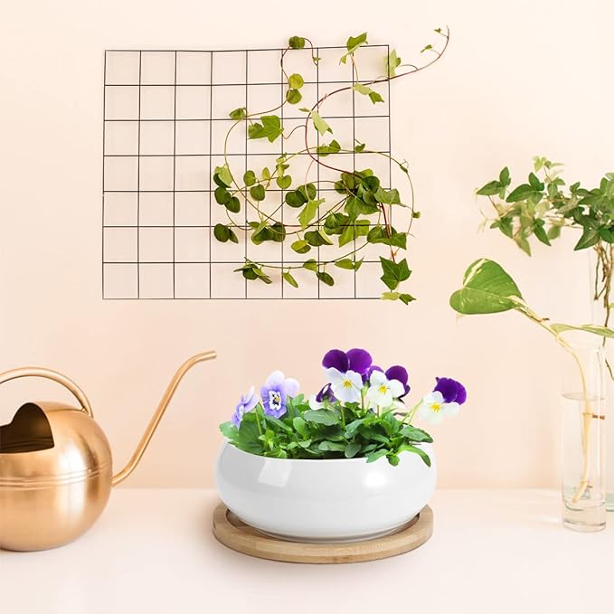 ZOUTOG 2 Pack Succulent Pots, 6 inch Ceramic Planters for Indoor Plants with Bamboo Tray, Pots with Drainage, Seeds＆ Plants Not Included