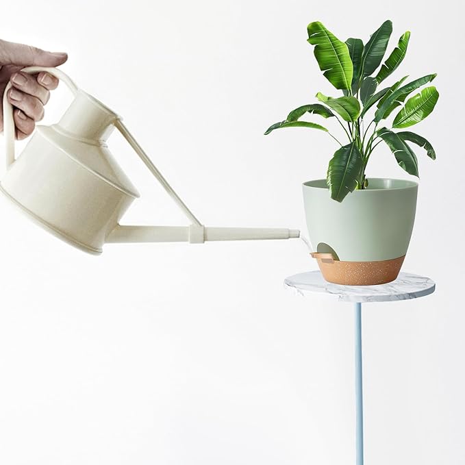 Indoor Plant Pots With Drainage Holes and Saucers Planting Pots for All HousePlants Green Plastic Flower Pots with Drainage Hole Self Watering Plant Pot Gift Idea For Home Decor Succulent Pots