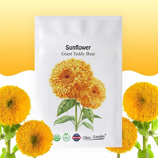 Sunflower Seeds - Giant Teddy Bear - 50 Seeds - Heirloom, Non-GMO, USA Grown, Excellent for Pollinators, Annual, Deer Resistant - Sunflower Seeds for Any Home Garden