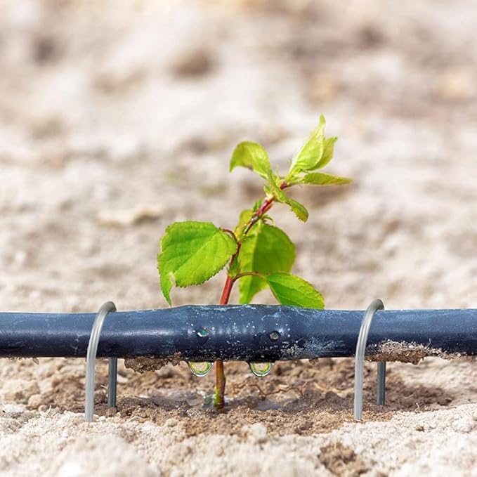 6 Inch Galvanized Garden Stakes Landscape Staples,Ground Stakes Heavy-Duty Sod Pins Anti-Rust Fence Stakes 50 Pack