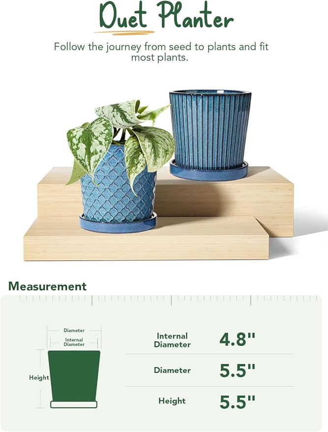 LE TAUCI Ceramic Plant Pots, 5.5 Inch Pots for Indoor Plants, Planters with Drainage Hole and Saucer, Flower Pots for Succulent, Snake Plants and Cactus, Set of 2, Reactive Glaze Blue