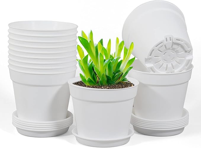 12 Pack 4 inch Plastic Planters, Seedlings Plant Nursery Pots with Drainage Holes and Saucers for Plants Flowers Succulent and All House Plants, White