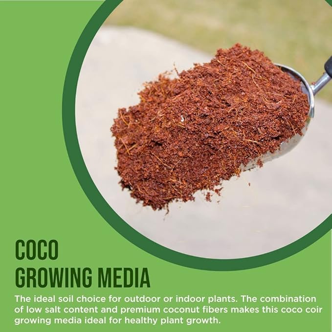 Coco Coir for Plants 2-Pack Envelor 2.6 Cu. Ft. Compressed Coconut Coir Bricks 10 lb. Organic Coconut Coir Bulk Low EC pH Balanced Natural Coco Peat for Indoor and Outdoor Gardening Potting Soil