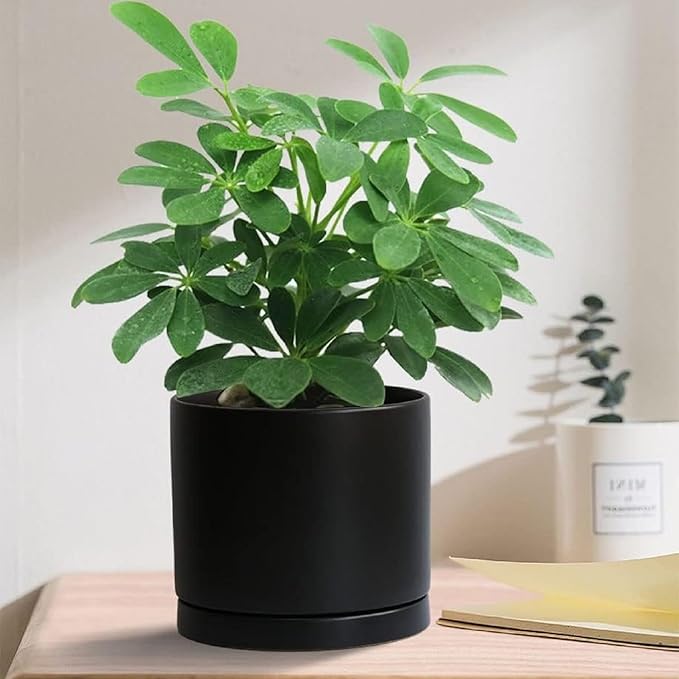 Ceramic Plant Saucer Pot Tray 10 Inch, Planter Saucers 4 5 6 7 8 9 10 11 12 13 Inch for Indoors Outdoor, Durable Sturdy Flower Drainage drip Water Tray for Glazed Pots Base (10.7 Inch-Black)