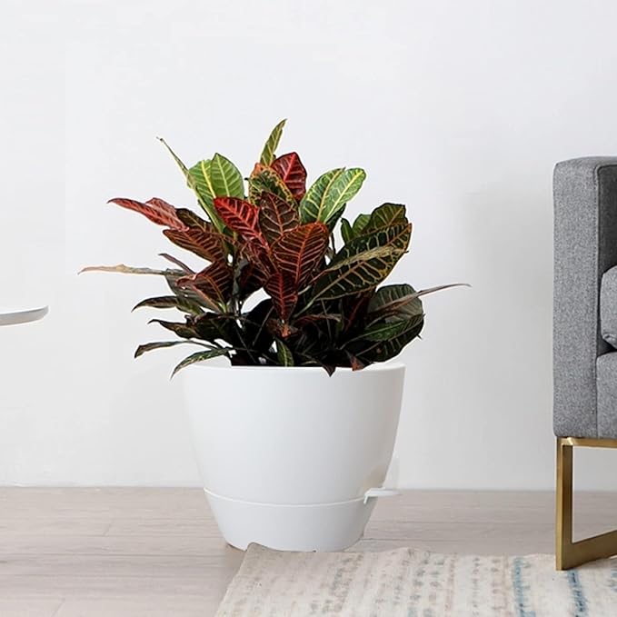 10/9/8 inch Self Watering Pots, Set of 3 Plastic Planters with Mesh Drainage Holes and Deep Reservoir for Indoor Outdoor Garden Plants and Flowers, White