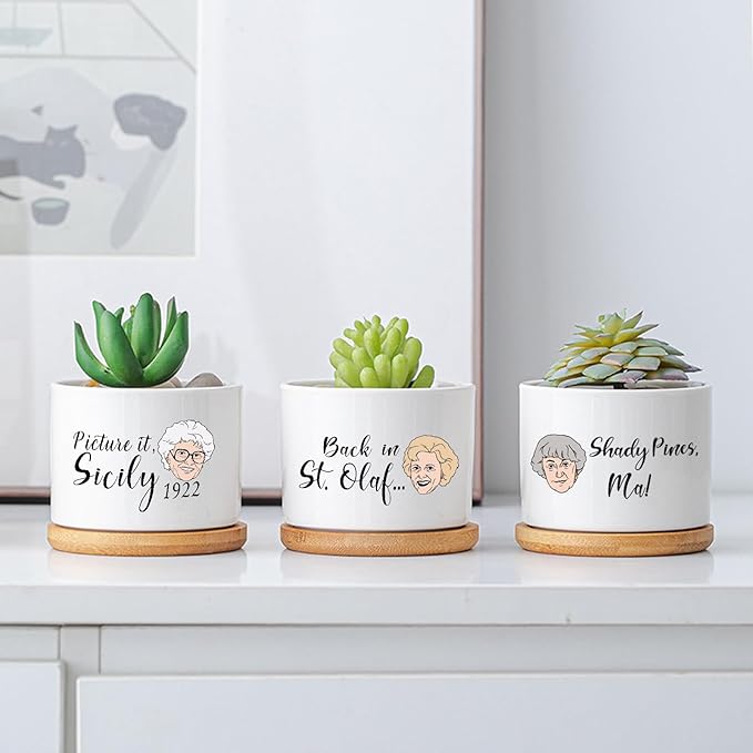 Funny Succulent Pots Set of 4 - Golden Inspired Merchandise Ceramic Mini Plant Pot with Bamboo Tray, Cute Planter for Indoor Decorations, Gifts for Women