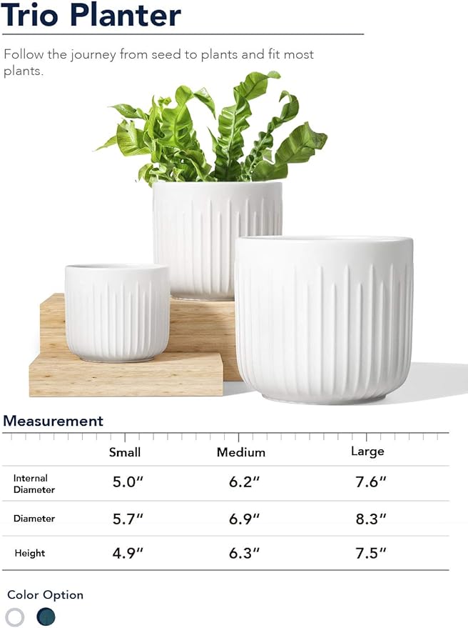 LE TAUCI Ceramic Planters, Set of 3 Plant Pots for Indoor Plants, 8.3+6.9+5.7 inch Flower Pots with Drainage Holes, Medium Cylinder Planters Pot for Indoor House Plants, White