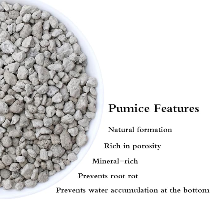 Garden Pumice Rock Horticultural Cactus Bonsai Succulent Soil Additive for Plants, Landscaping, Vase Fillers (3/8 inch, 20 QT)