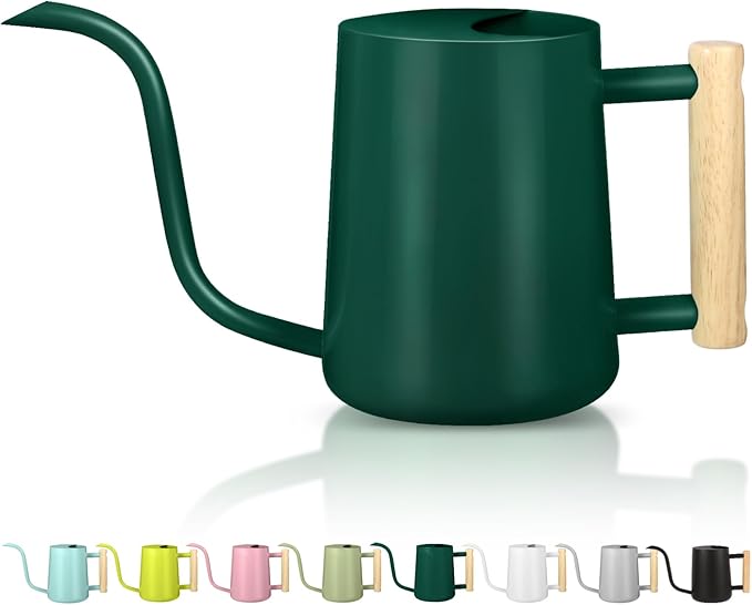 Watering Can Indoor Plants, 35oz Small Watering Can Indoor Stainless Steel Metal Watering Can Modern Decorative Watering Pot with Long Spout for Indoor House Plant Bonsai Garden Flowers (Alpinegreen)