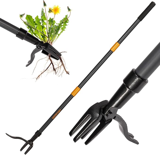 DEERFAMY Stand Up Weed Puller Tool with Long Handle, Garden Weeder Tool with 4-Claw Steel Head Design, Manual Weeder with 3-Metal Structure, Effortless Weeding Without Bending, for Dandelions, Orange