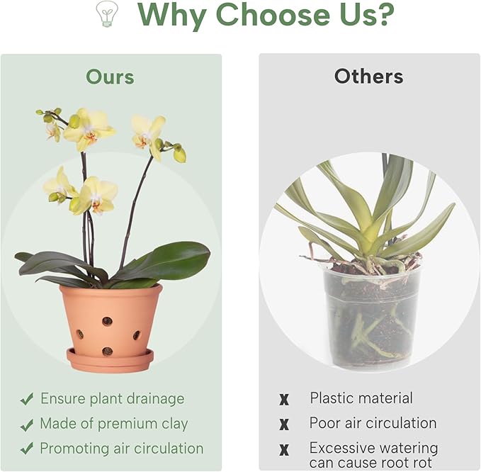 6 inch Terracotta Orchid Pots with Holes and Saucers, 3 Pack Clay Orchid Planter Pots for Repotting, Small Terra Cotta Orchid Pot, Plant Flower Pots for Orchid Indoor Outdoor Promotes Air Circulation