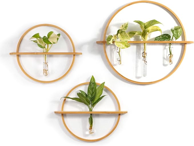 Propagation Stations - Set of 3 Bamboo Wall Planters for Indoor Plants | Propagation Wall Hanging with 5 Glass Plant Propagation Tubes | Plant Propagation Station Wall Vase