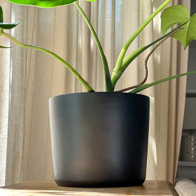 Willowy 9 Inch Black Ceramic Plant Pot - 9 Inch Plant Pot, Pot for Indoor Plants, 9 Inch Planter, Black Ceramic Pot, Tall Plant Pot, Modern Planter, Black Flower Pot, Black Ceramic Planter