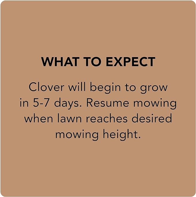 Scotts Turf Builder Clover Lawn, Greener Lawn with Less Maintenance, 2 lbs., 4-Pack