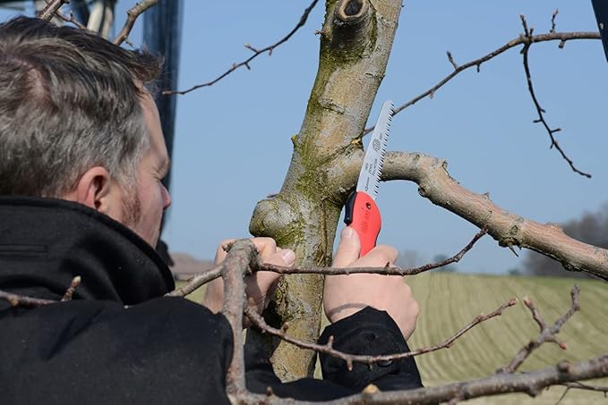 Felco Folding Saw (F 600) - Classic Tree Pruning Saw with Pull-Stroke Action, Red