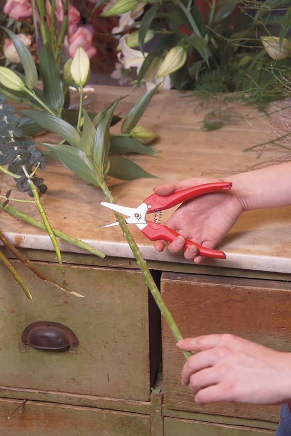 Felco Pruning Shears (F 310) - High Performance One-Hand Garden Pruners - F-310