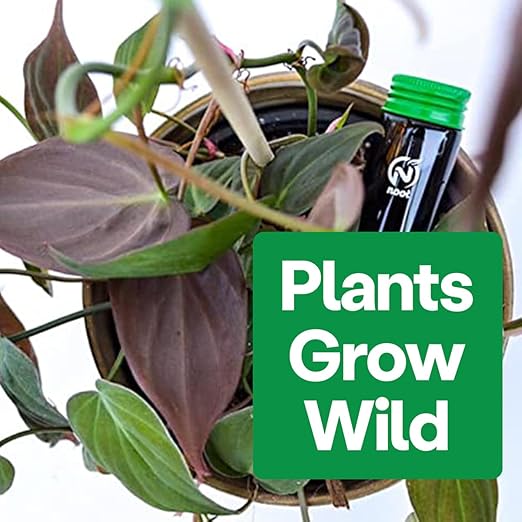 Noot Bio-Organic Plant Food Liquid Fertilizer - Makes 7 Gallons - Root Boosting Mycorrhizae - Fast Growth for Monstera, Aroid, Succulent, Orchid, Calathea, Philodendron - Use Every Watering (2 Vials)