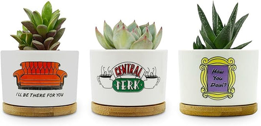 Friends TV Show Merchandise Gifts, 3 Pack Ceramic Succulent Pots, Vintage Style Patterns, 3.15 inch Succulent Planter Pots with Drainage Hole and Bamboo Saucer for Home Decor