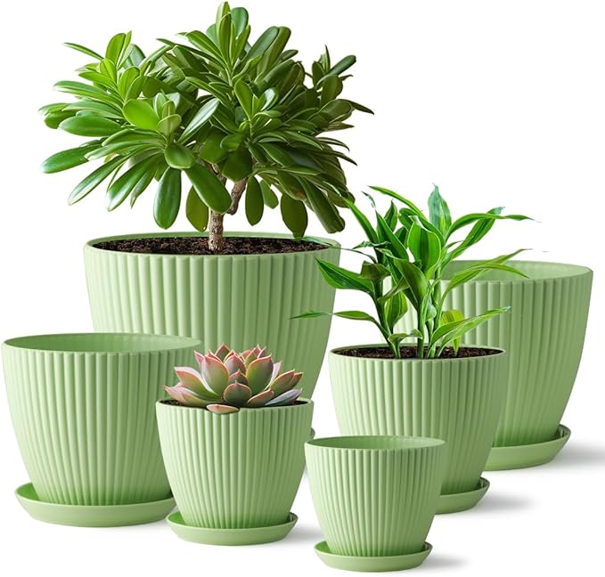 Plant Pots with Drainage Holes and Tray Saucer 7.5/6.5/5.5/4.9/4.2/3.5 Inches Flower Pots - 6 Pack Thick and Sturdy Planters for Indoor Plants Such As Orchid, Succulent and Herbs, Green