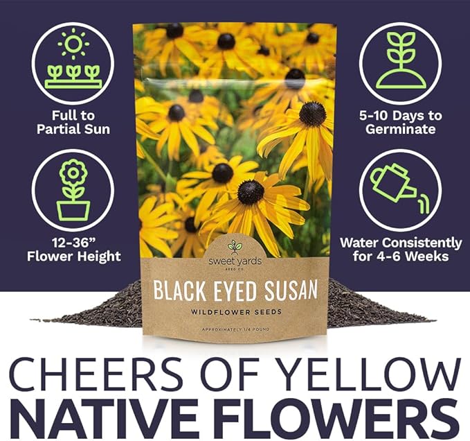 Black Eyed Susan Seeds – Bulk Quarter Pound Bag – Over 400,000 Open Pollinated Non-GMO Wildflower Seeds – Rudbeckia hirta