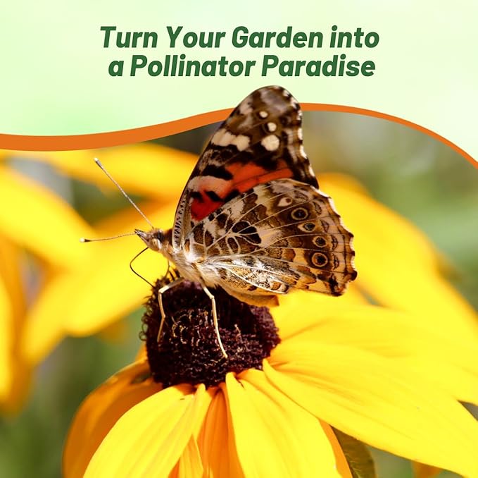 Outsidepride Indian Summer Gloriosa Daisy Seeds – 200 Pcs Perennial Rapid Growing, Heat & Drought Tolerant Rudbeckia Hirta Daisy Flower Seeds for Vibrant Meadows & Garden Borders (AAS Winner)