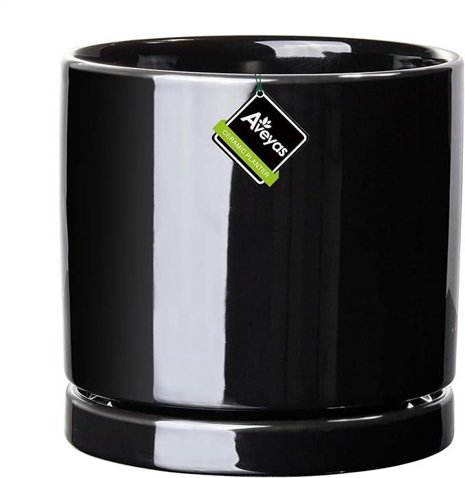 Aveyas 6 inch Ceramic Plant Pot with Drainage Hole and Saucer - Suitable for Indoor and Outdoor Use, Modern Planters for House Garden Orchid Flower Snake Monstera Plants (6", Glossy Black)