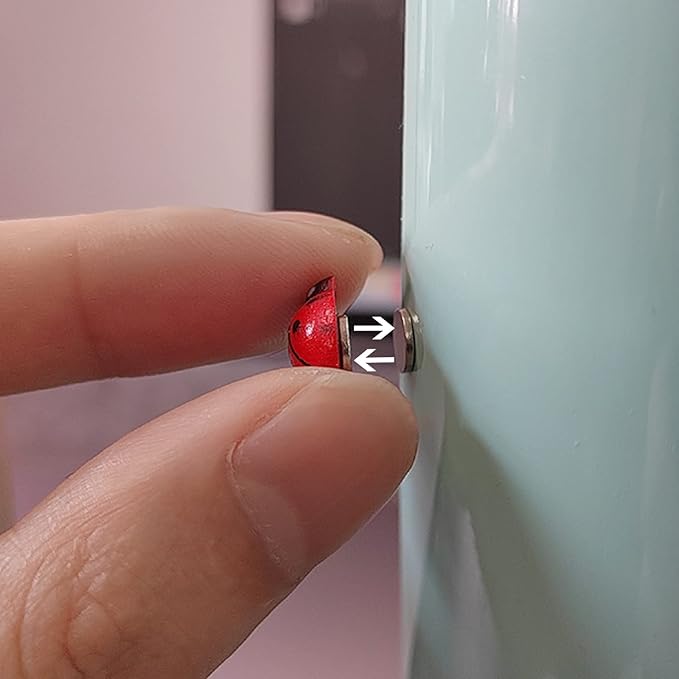 8pcs Plants Magnets Tiny Ladybug Pins Charms Funny Potted Plant Safe Magnets Cute House Plant Accessories,Christmas Decoration Gift for Plants Lovers (Ladybug)