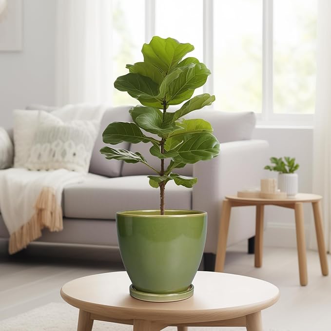 8 Inch Planter - Ceramic Plant Pot with Drainage Hole and Tray Round Planters Modern Flower Pot for Room Home Office Patio Porch Garden Decor Green