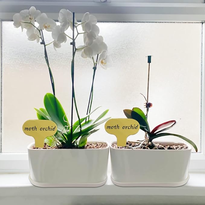 5 Set Window Herb Planter Box Rectangular,8.5x3.5 Inch White Plastic Planters with Multiple Drainage Holes and Trays,Indoor Succulent Cactus Mint Flower Pot for Windowsill,Garden Balcony