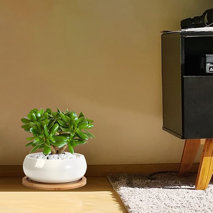 ZOUTOG 2 Pack Succulent Pots, 6 inch Ceramic Planters for Indoor Plants with Bamboo Tray, Pots with Drainage, Seeds＆ Plants Not Included