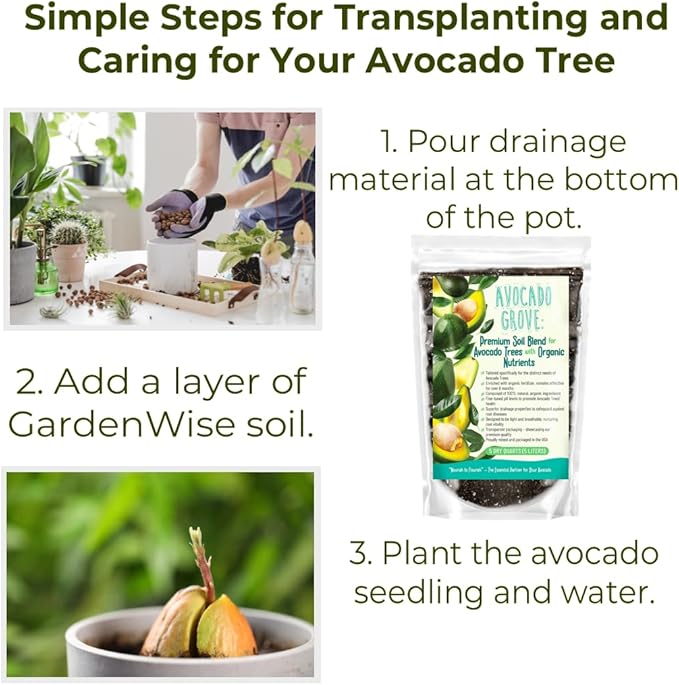 Avocado Tree Soil – Premium Organic Potting Mix for Avocado Trees | Tailored pH & Organic Nutrients | Fast-Draining & Moisture-Retaining | Indoor & Outdoor Use (1 Quart)