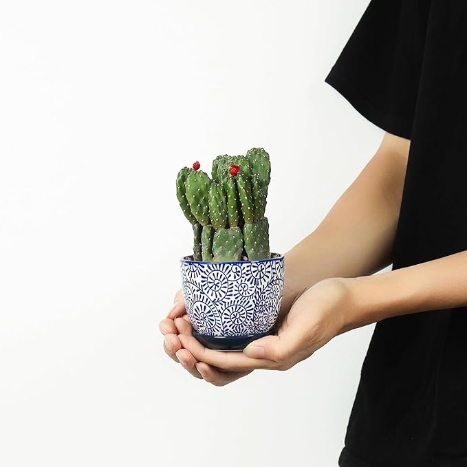 Selamica Ceramic Succulent Pots with Drainage Holes, Small Flower Pots 3.5 Inch Plant Pots for Indoor Plants with Saucers, Cactus Succulent, Home Decor, Set of 4, Vintage Blue