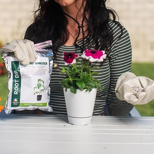 Root Dip 16 oz. Root Stimulant Plant Rooting Powder Root Stimulator for Plants Starter Root Booster Ornamentals Vegetables Citrus Orchards Flowering Trees Endo Ecto Mycorrhizae Inoculant
