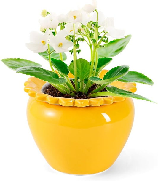 African Violet Flower Pot Self Watering Plant African Violet Planter Pot Yellow Ceramic Pot Maintenance Plant Seeder Planting 6.5 * 4.6 Inch High Absorption Plant Inner Flower Pot
