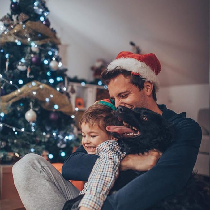 Christmas String Lights End-to-End Plug 8 Modes 108FT 300 LED IP55 Outdoor Waterproof UL Certificated Indoor Fairy Lights Garden Wedding Christma Trees Parties Decoration White Light