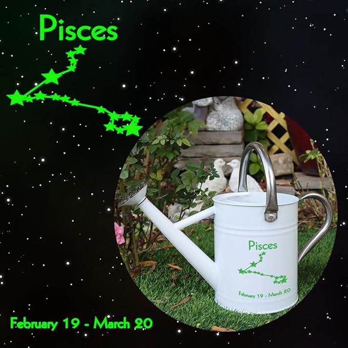 Metal Watering Can for Outdoor and Indoor Plants, Watering Can Decor, 1 Gallon (Pisces)